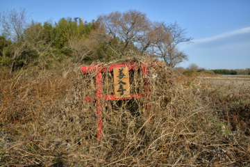 河野 正晴 写真展