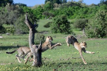 山形 豪 写真展