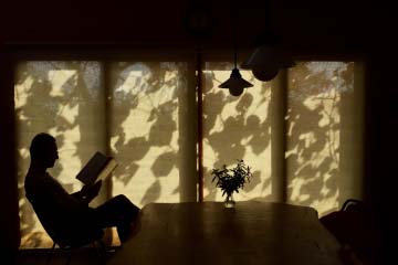 今森 光彦 写真展