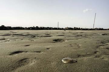 フォトシティさがみはら 2019 プロの部入賞作品展