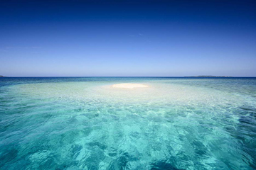 ニコンプラザ大阪 THE GALLERY<br>三好 和義 写真展