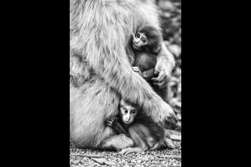 ニコンサロン<br>清野 健人 写真展