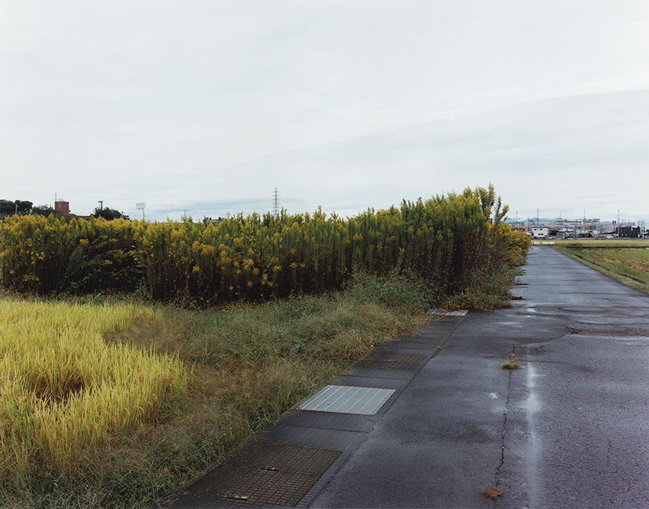 第25回（2023年度） 三木淳賞 吉江 淳 | 写真展 | 楽しむ | ニコン