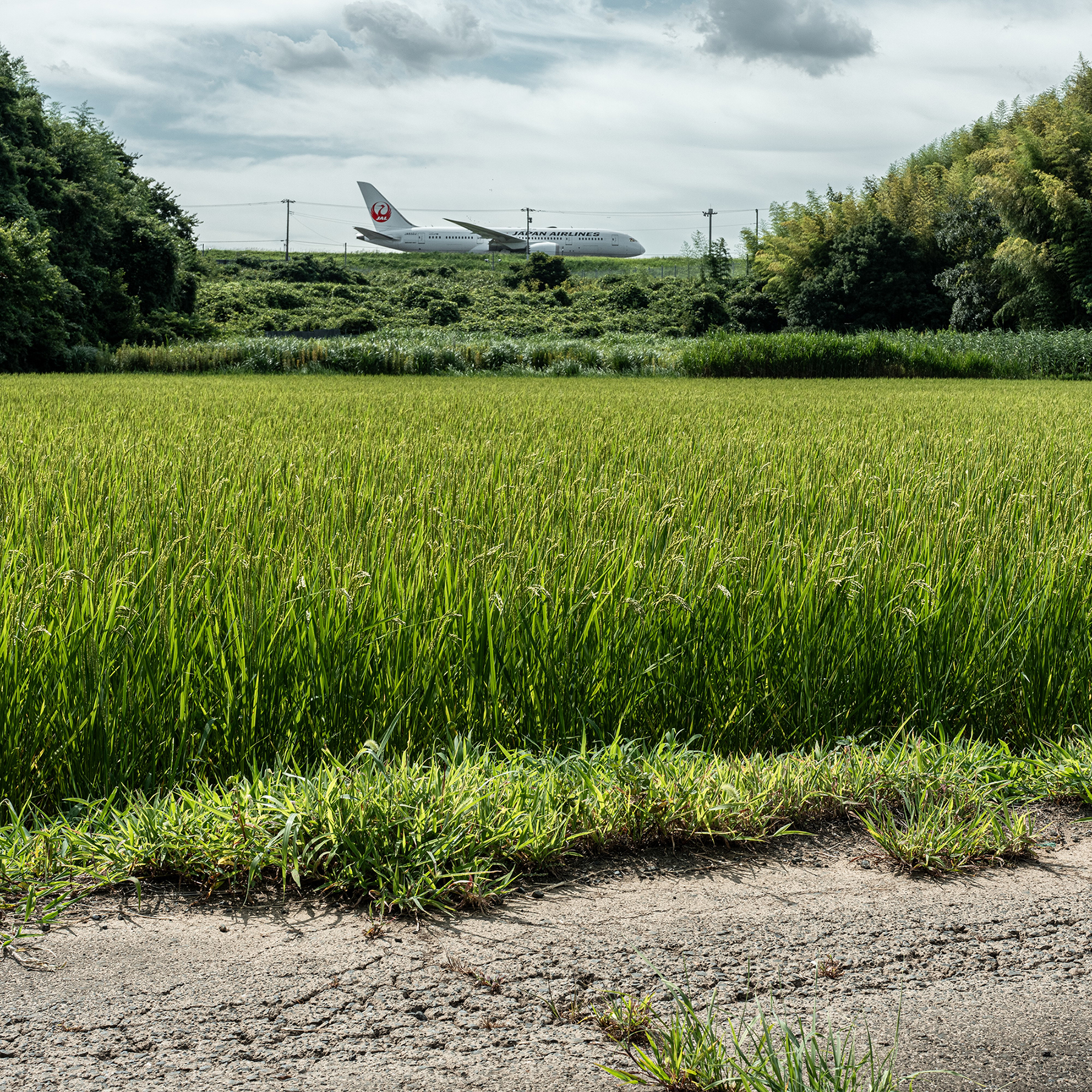 ＜ニコンサロン＞ 吉野 正起 道路 IV: 成田空港の外側