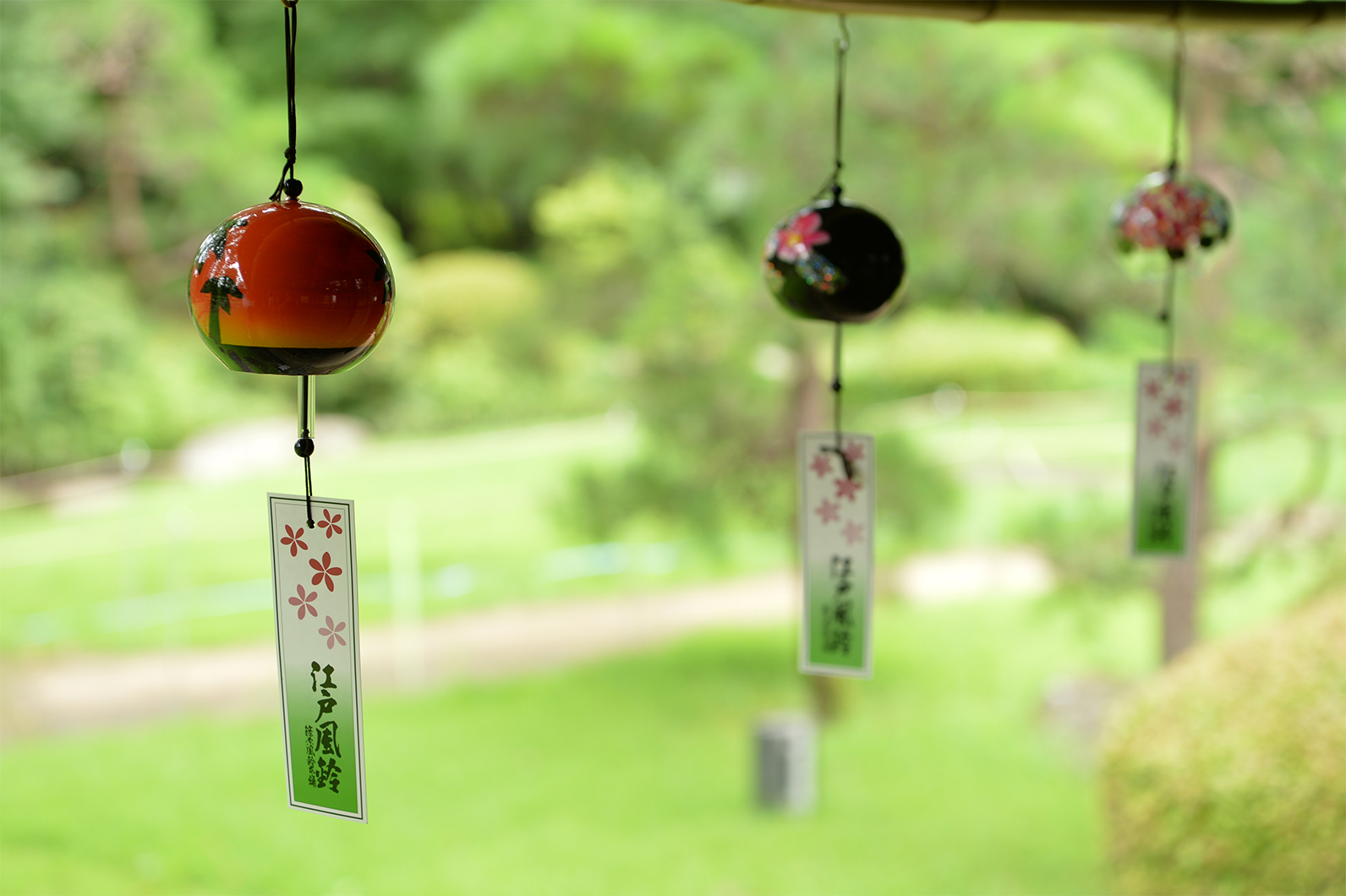 葉月 ～ 東京都・小金井公園近郊にて