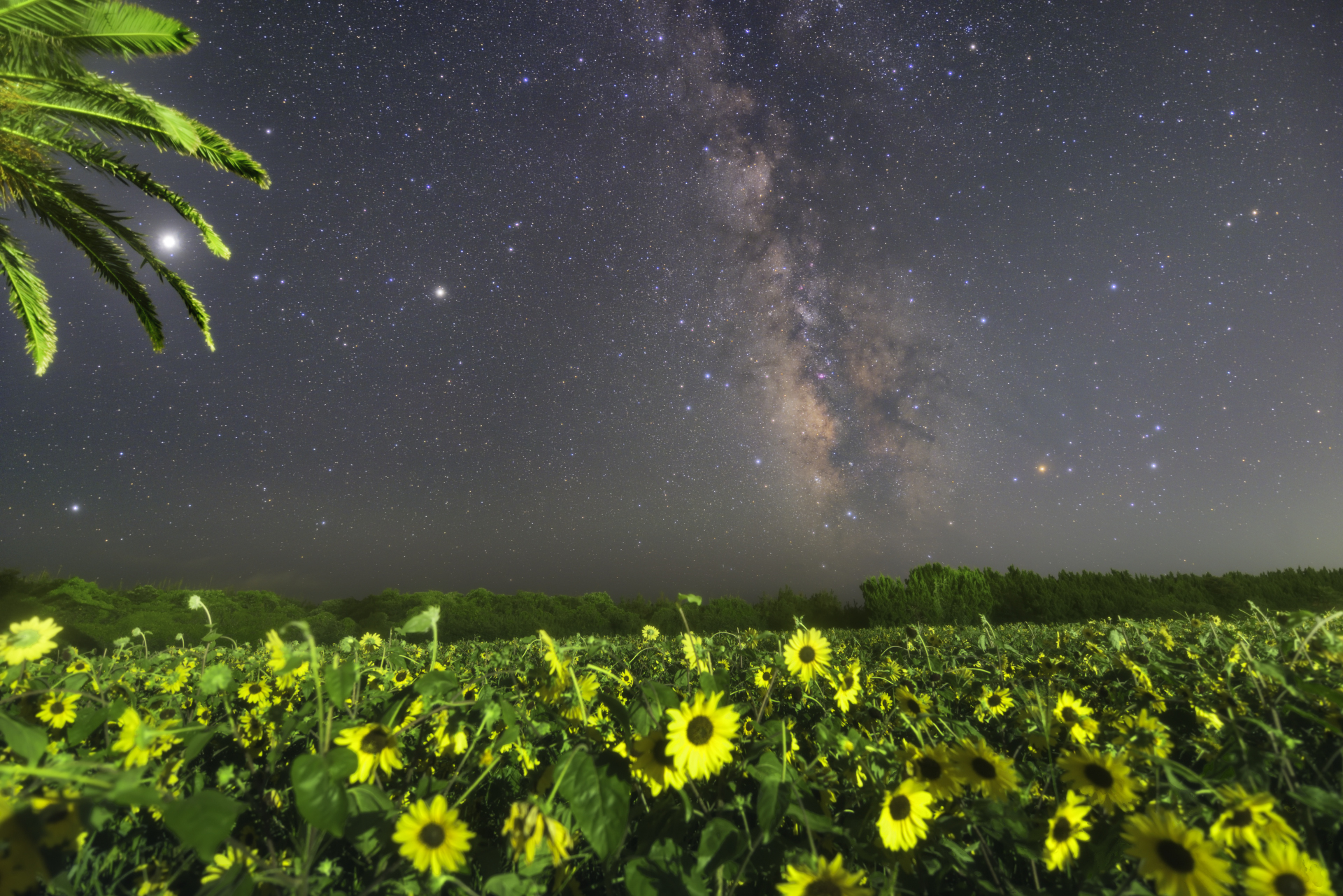 2022年8月の星空