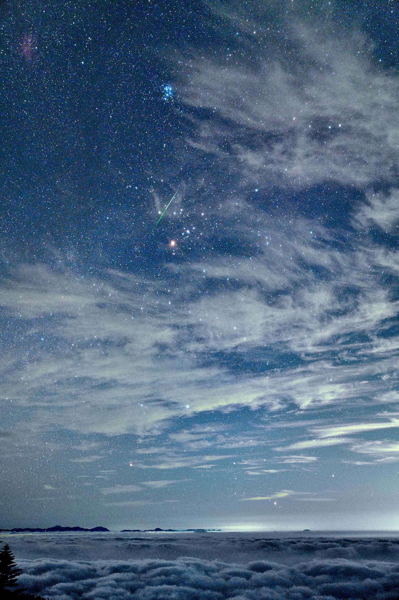 【星空案内】2025年8月の星空