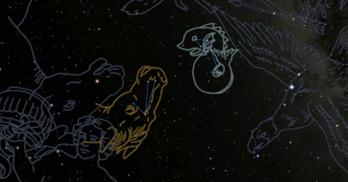 2026年9月の星空 | 星空案内 | 楽しむ | ニコン