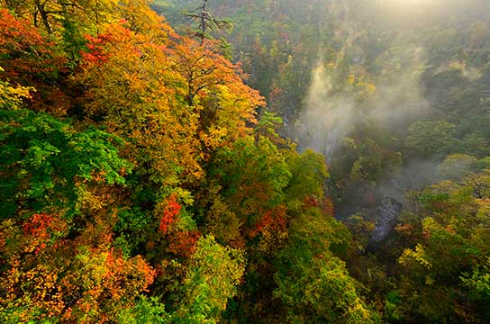 紅葉、どこまでも（宮城県・鳴子峡）