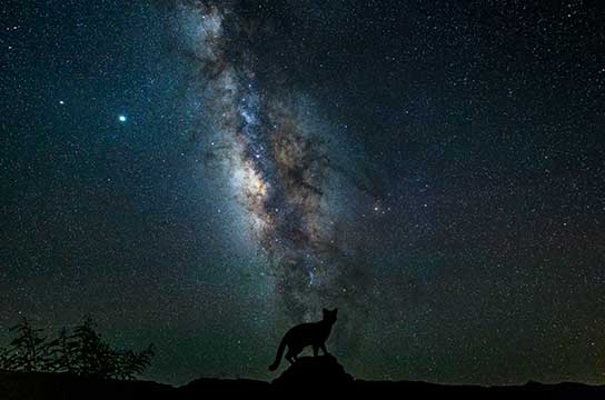 「星に願いを」（沖縄県・西表島）