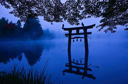 「行きはよいよい……」（大分県・金鱗湖）
