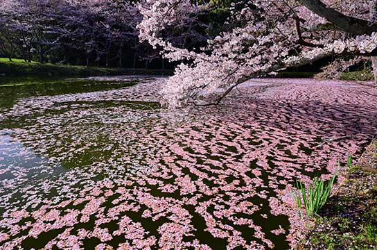 「空っぽの」（奈良県天理市）