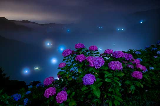 雨名残（愛媛県四国中央市）
