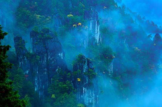 乗せてって！（奈良県下北山村）