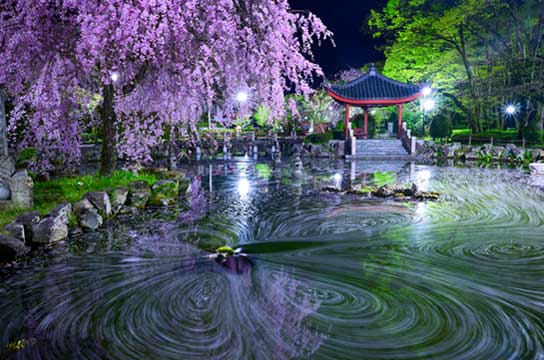 夜覚め（岐阜県岐阜市）