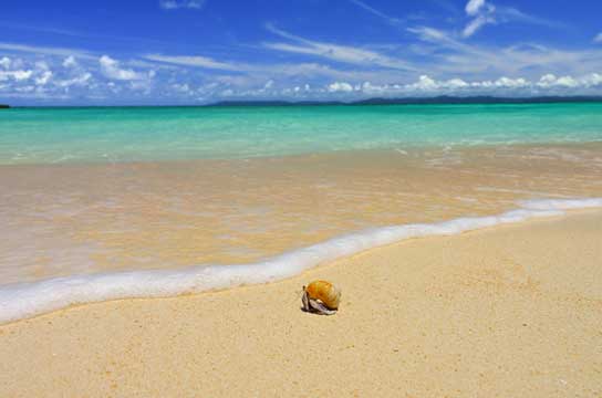 キラキラキラ（沖縄県竹富町）