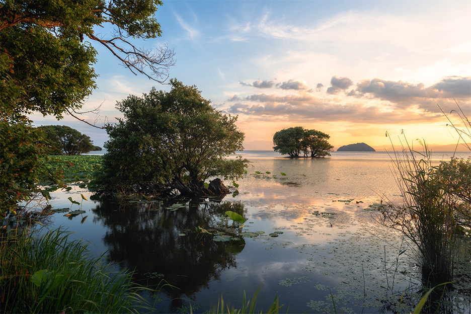 【トークイベント】風景写真と映像表現の美学 〜NIKKOR Z 24-70mm f/2.8 S IIを添えて〜 （yukkey）