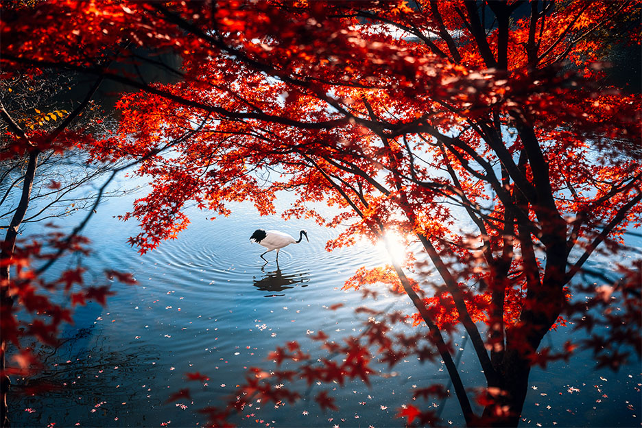 【トークイベント】風景写真と映像表現の美学 〜NIKKOR Z 24-70mm f/2.8 S IIを添えて〜 （yukkey）