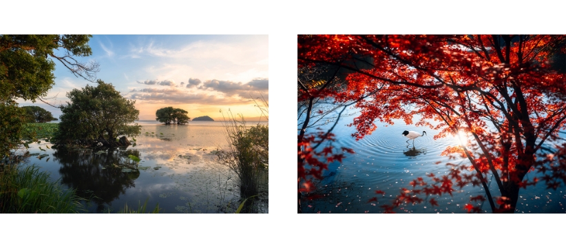 【トークイベント】風景写真と映像表現の美学 〜NIKKOR Z 24-70mm f/2.8 S IIを添えて〜 （yukkey）