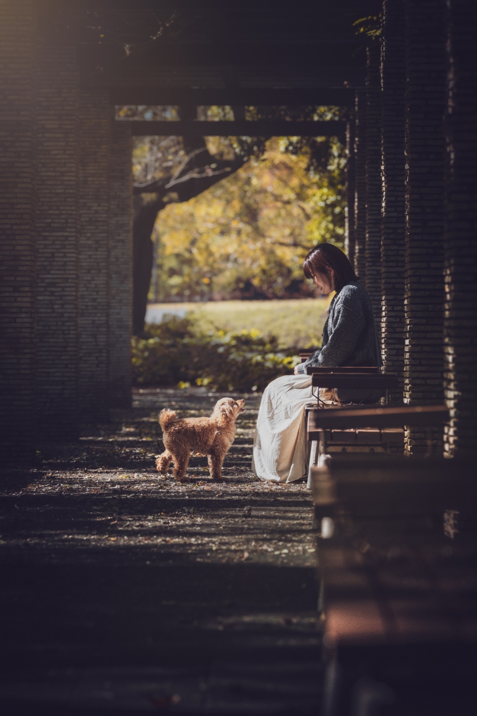 【トークイベント】「愛犬との今を残す写真の撮り方」〜人と犬の物語を紡ぐ撮影術〜(tetsu)