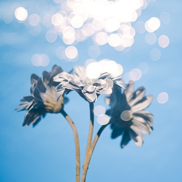 ＜多重露出＞オリジナルの世界観を楽しむレイヤード写真