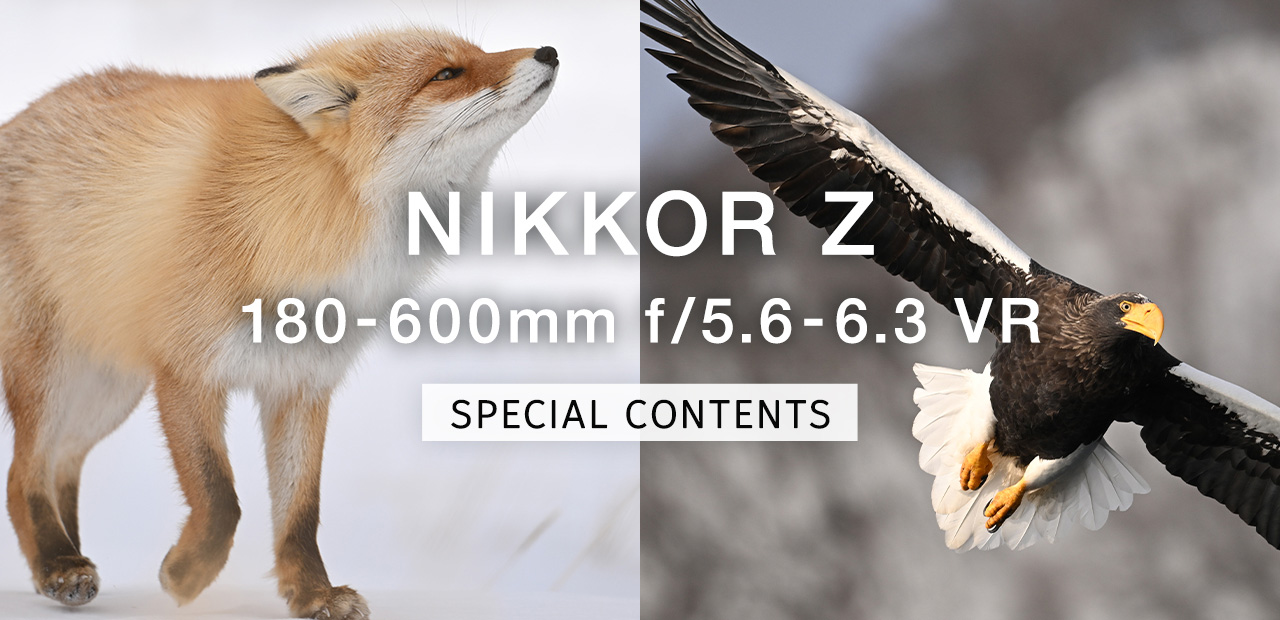 NIKKOR Z 180-600mm f/5.6-6.3 VR スペシャルコンテンツ