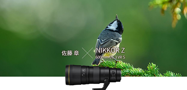 【NIKKOR Z】超望遠はもっと自由に、軽快に