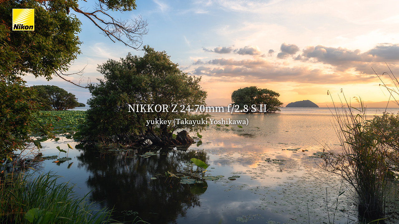 NIKKOR Z 24-70mm f/2.8 S II | Special Movie | yukkey