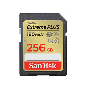 SanDisk