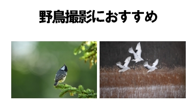 野鳥撮影におすすめ