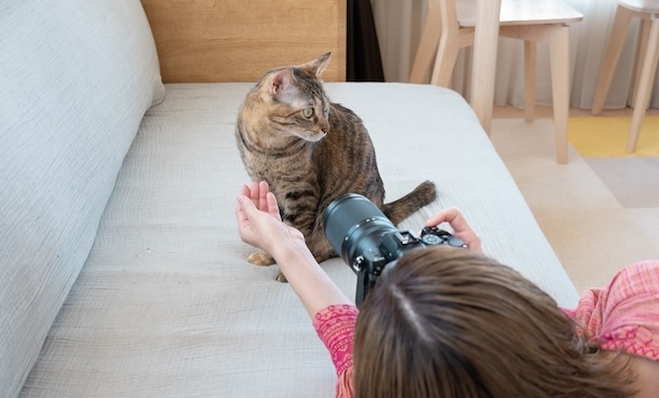 ペットフォトのビハインド・ザ・シーンズ