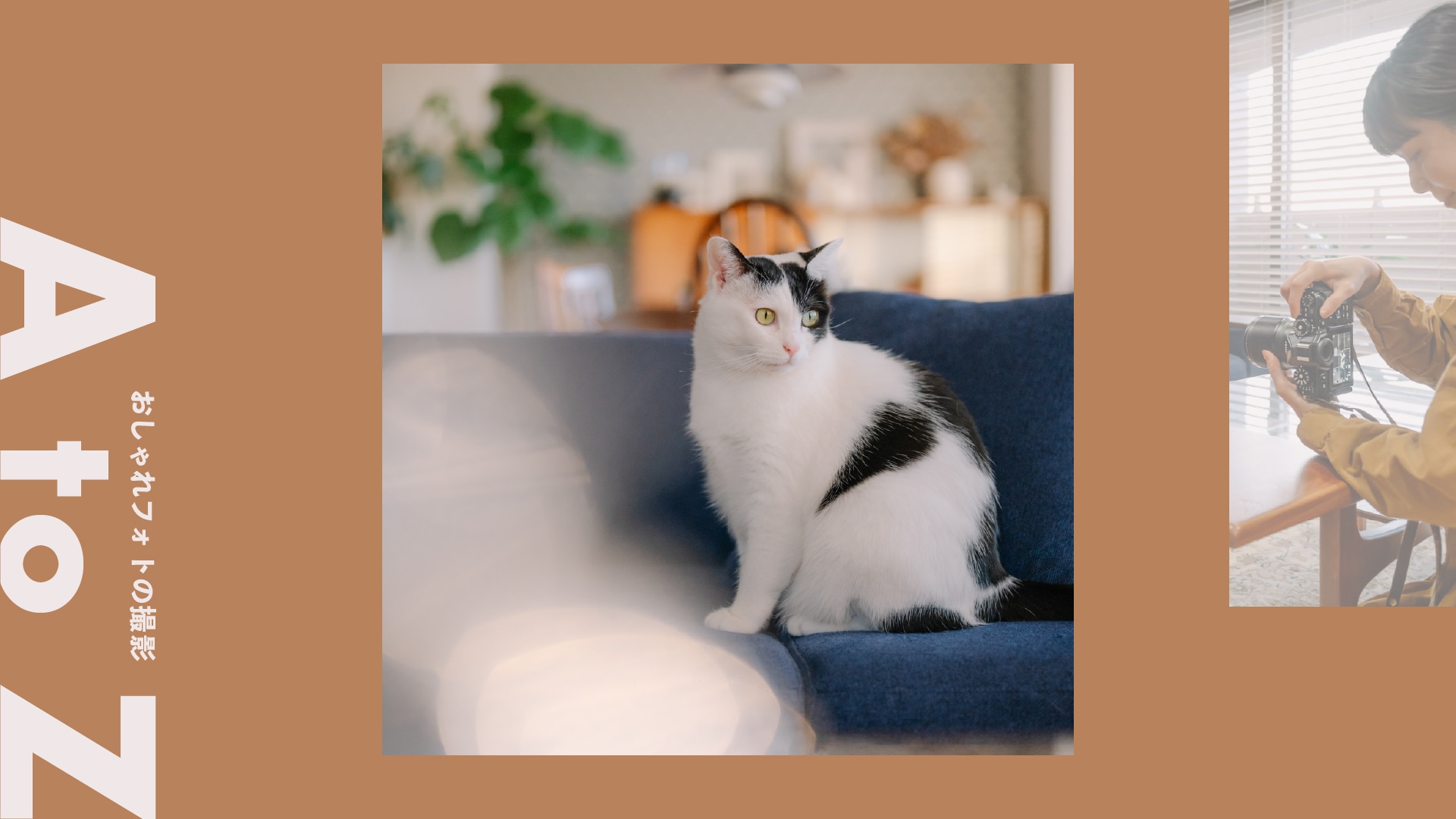 ＜猫×前ボケ＞心がキュンとする愛猫写真