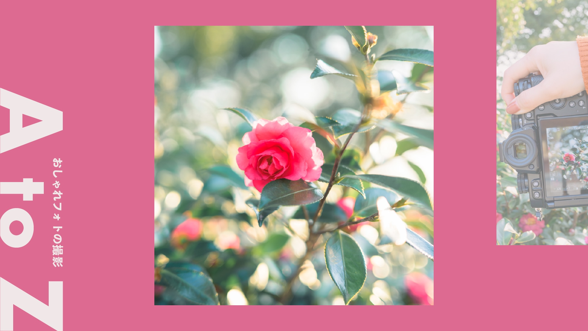 ＜自然光×玉ボケ＞キラキラと光る風景写真