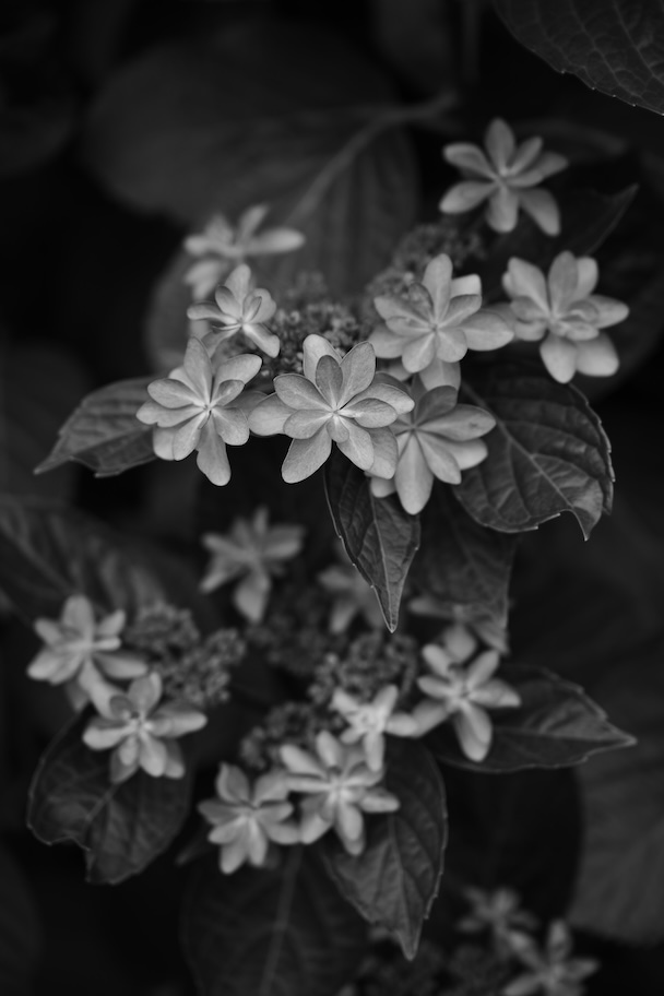 キャンドルの作例