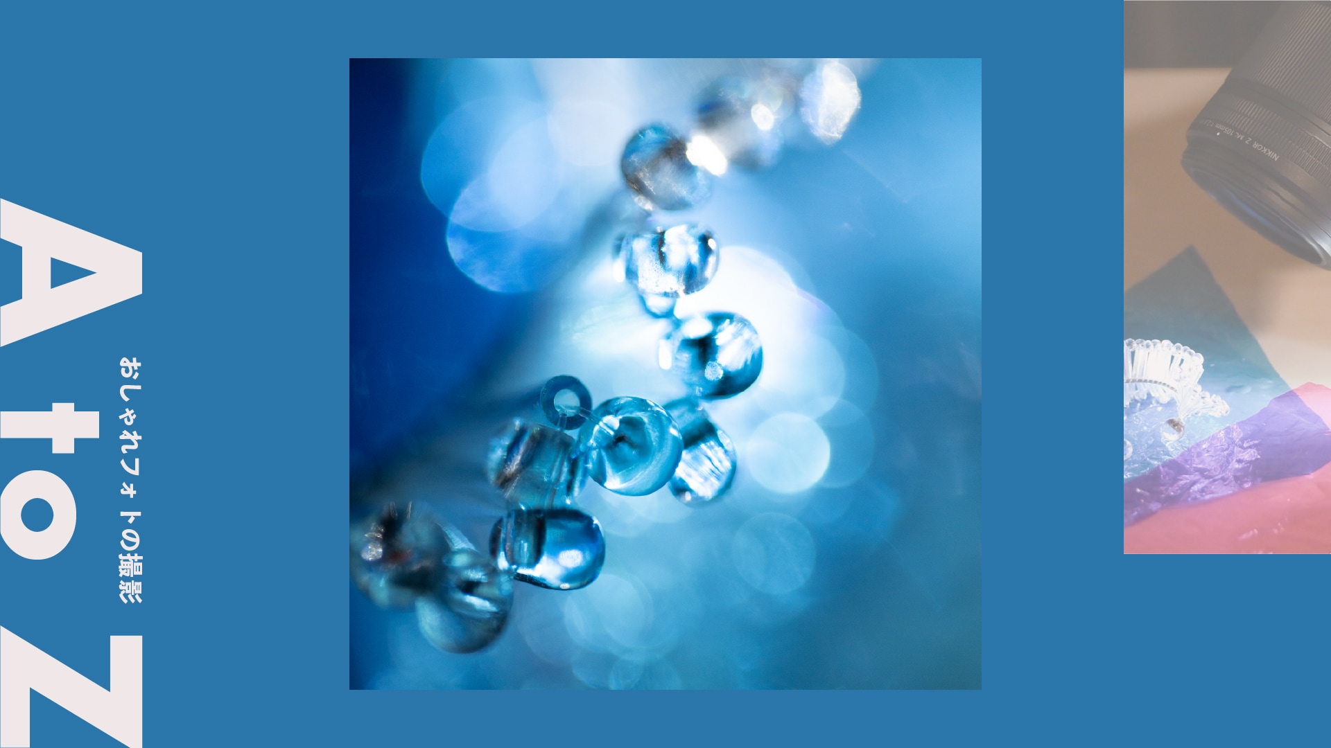 ＜接写＞マイクロレンズで楽しむ、煌めきのミクロ写真