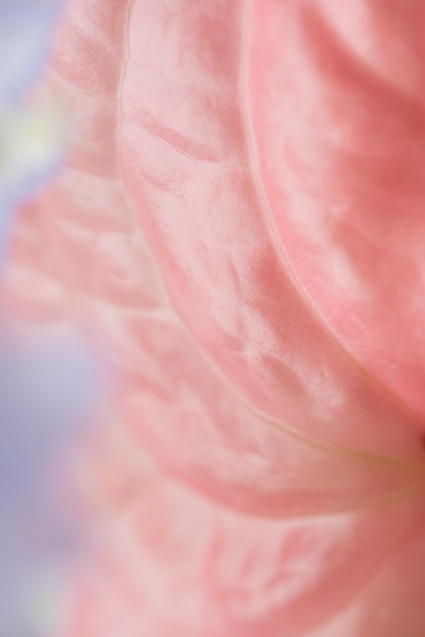 キャンドルの作例