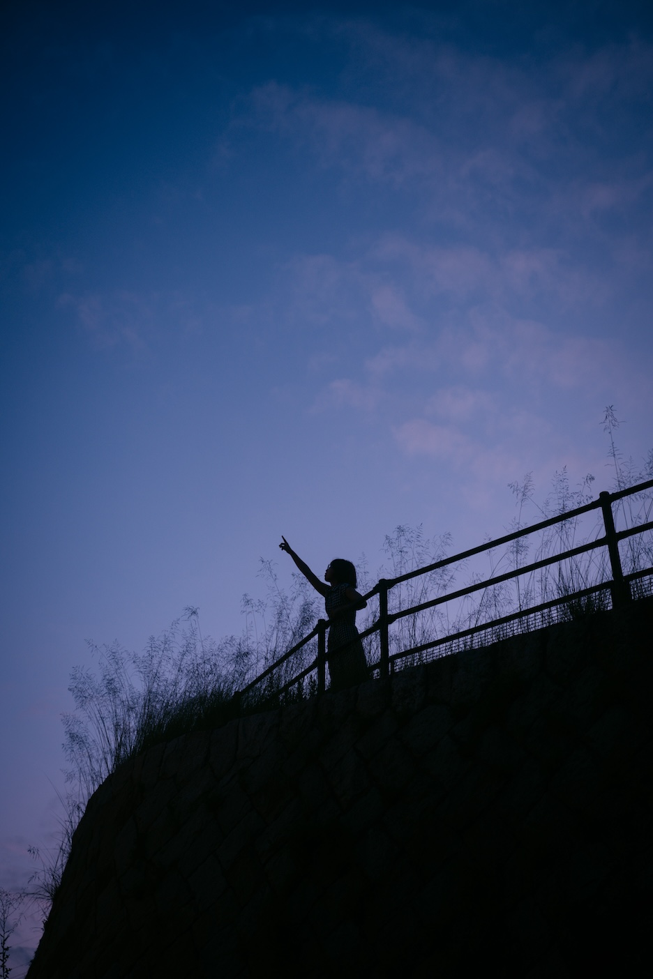 シルエットの作例