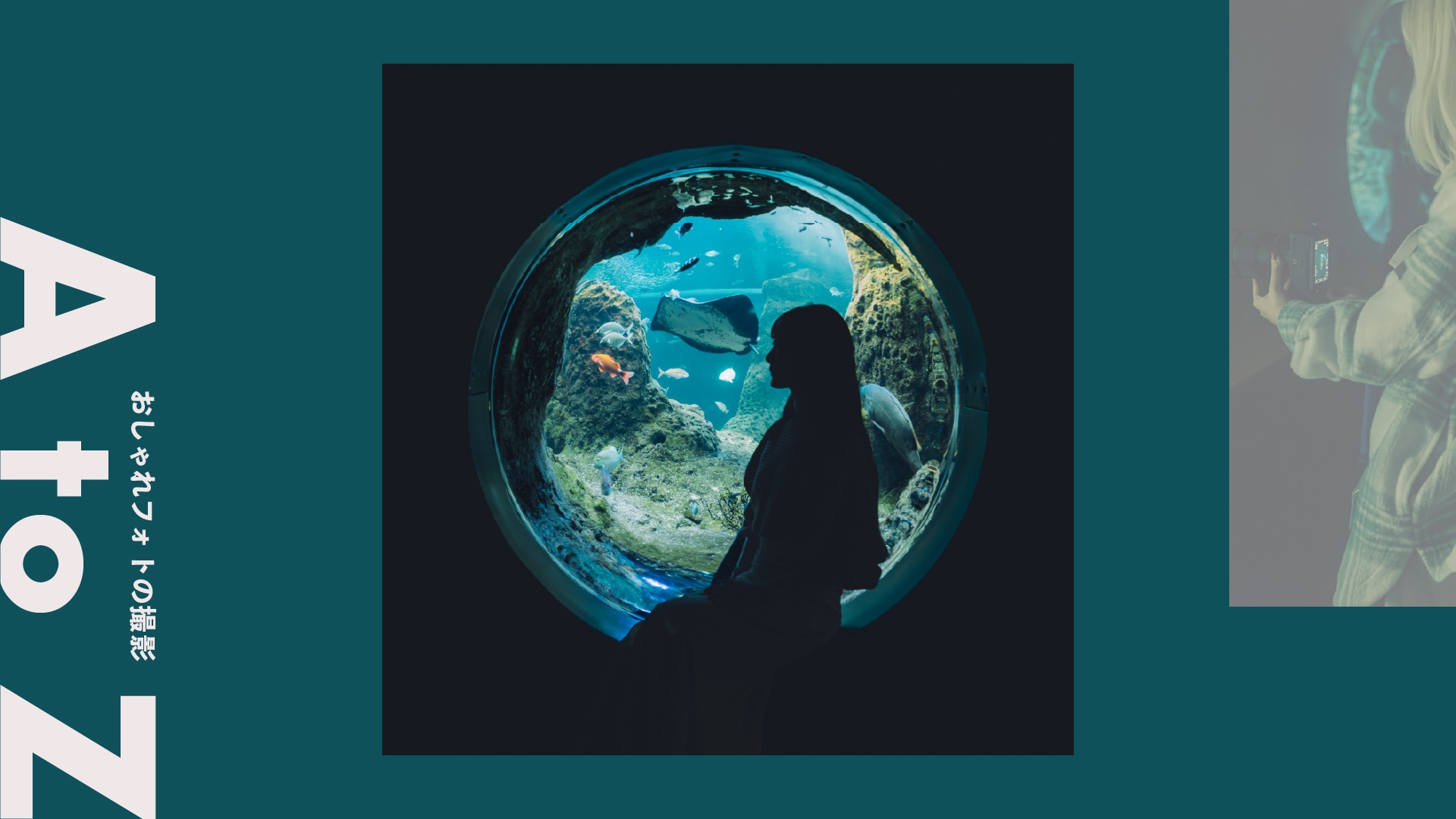 ＜水族館＞幻想的な光と影で描く、夢のような水族館フォト