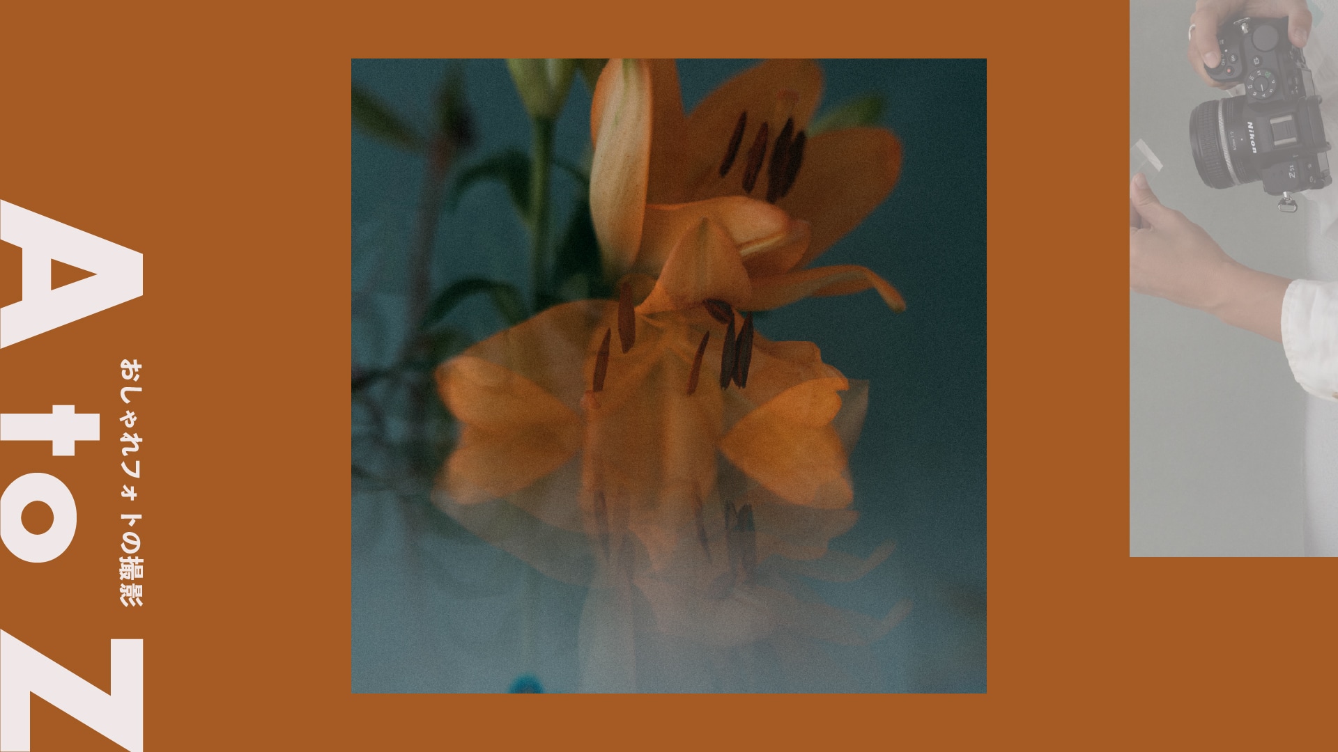 ＜プリズム＞日常写真をファンタジックに変える、光の魔法