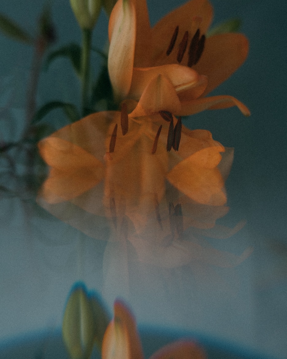 シャボン玉の作例