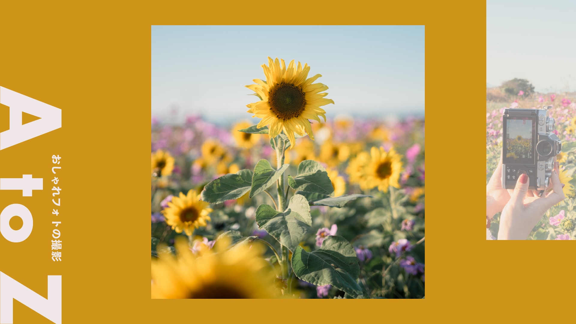 ＜日の丸構図＞主役が引き立つ、シンプルで心地よい写真構図