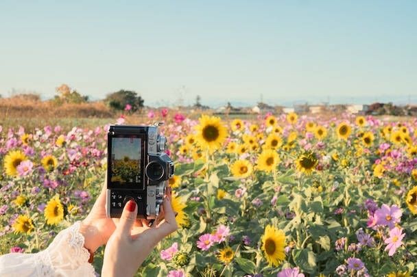 日の丸構図のビハインド・ザ・シーンズ