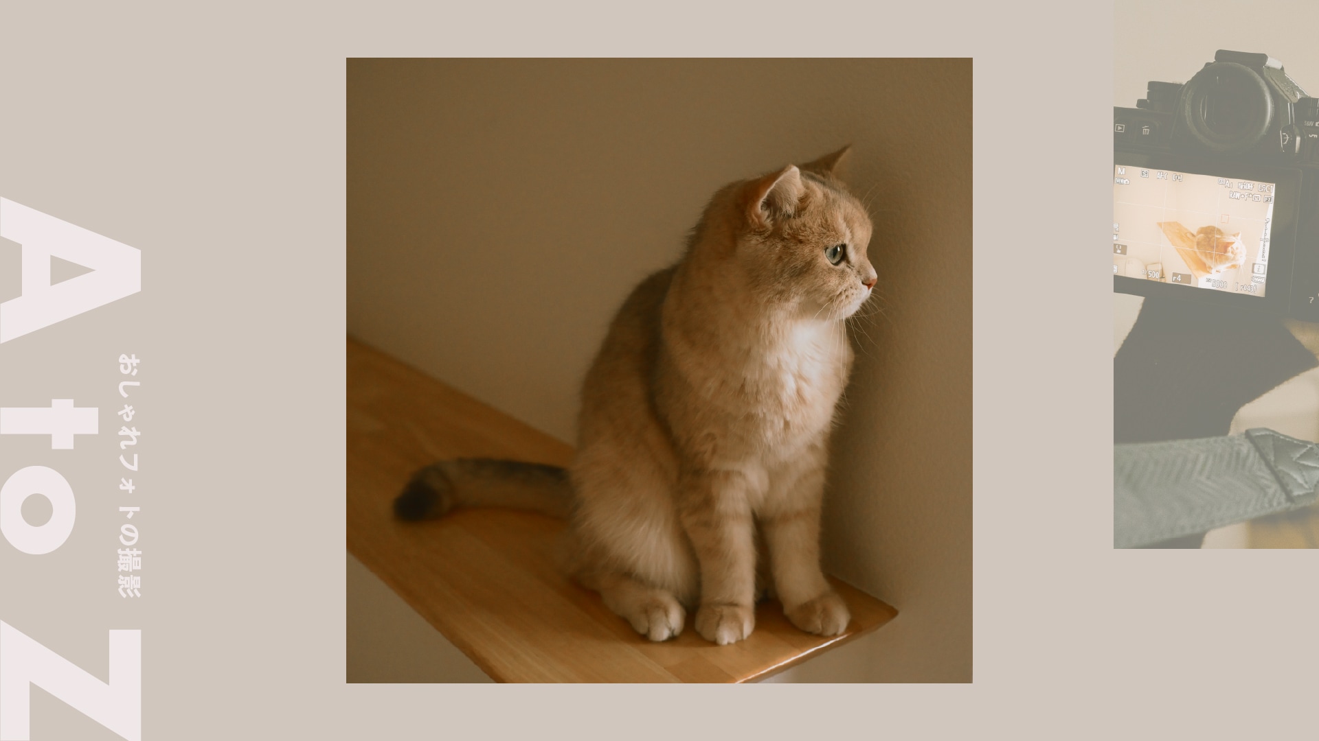 ＜三分割法＞余白と流れが生まれるバランスのよい写真構図