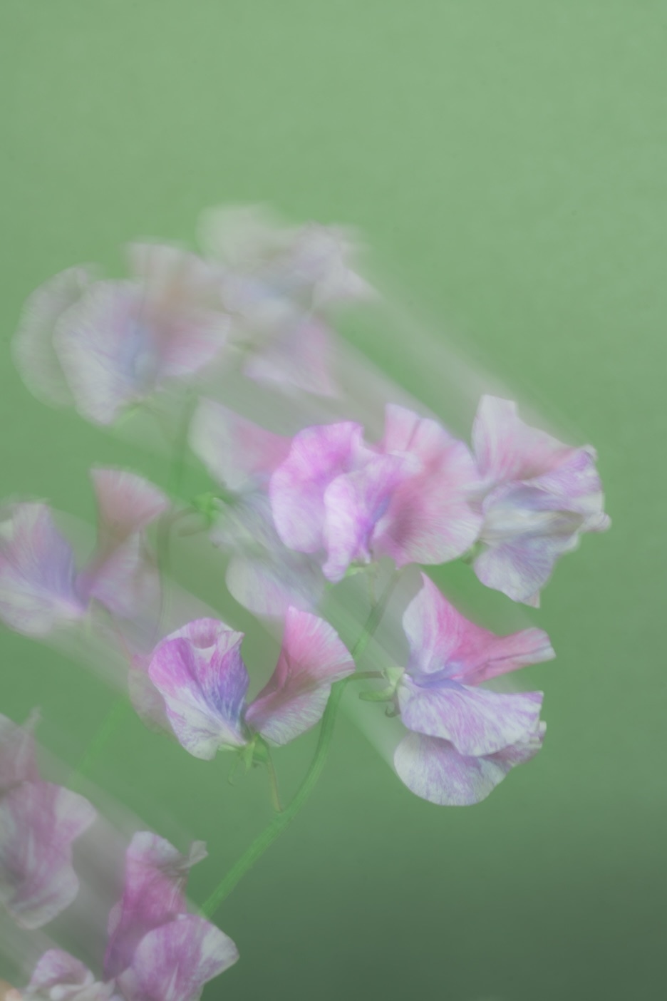 スローシャッターの作例