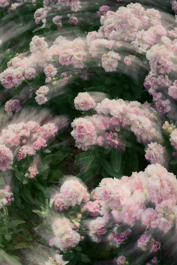 スローシャッターの作例