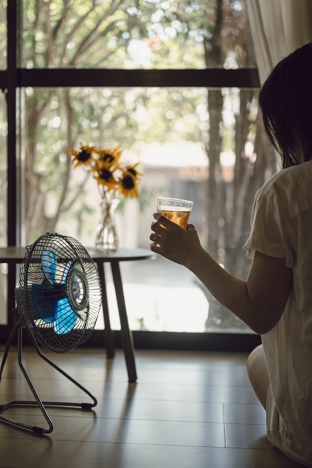 ひまわりの作例