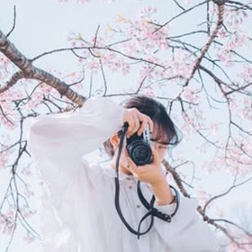 櫻子（フォトグラファー）