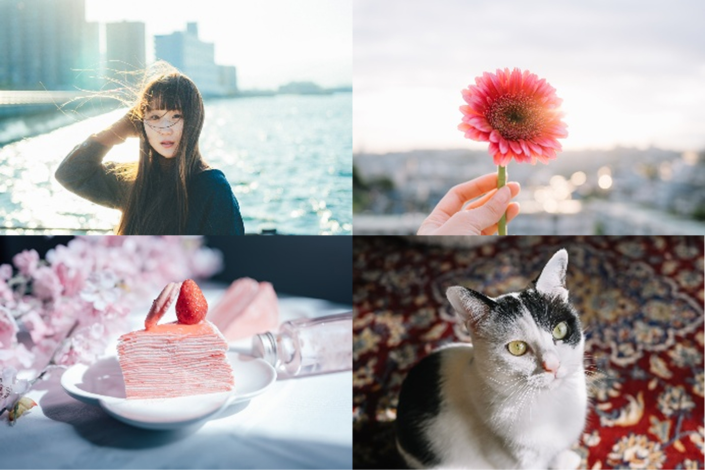 ボカし写真のイメージ