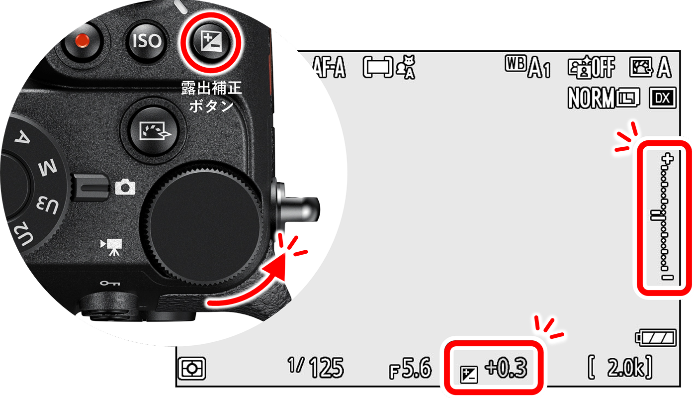 露出補正ボタンを押しながら、ダイヤルを回す