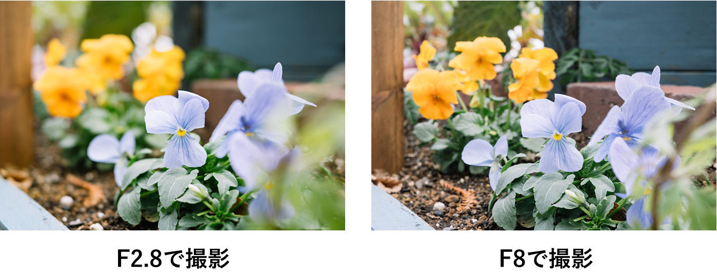 F2.8、F8での作例